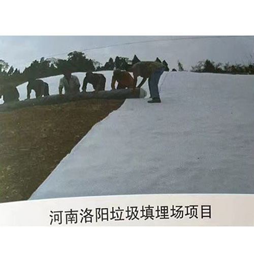 河南洛陽垃圾填埋場(chǎng)項(xiàng)目